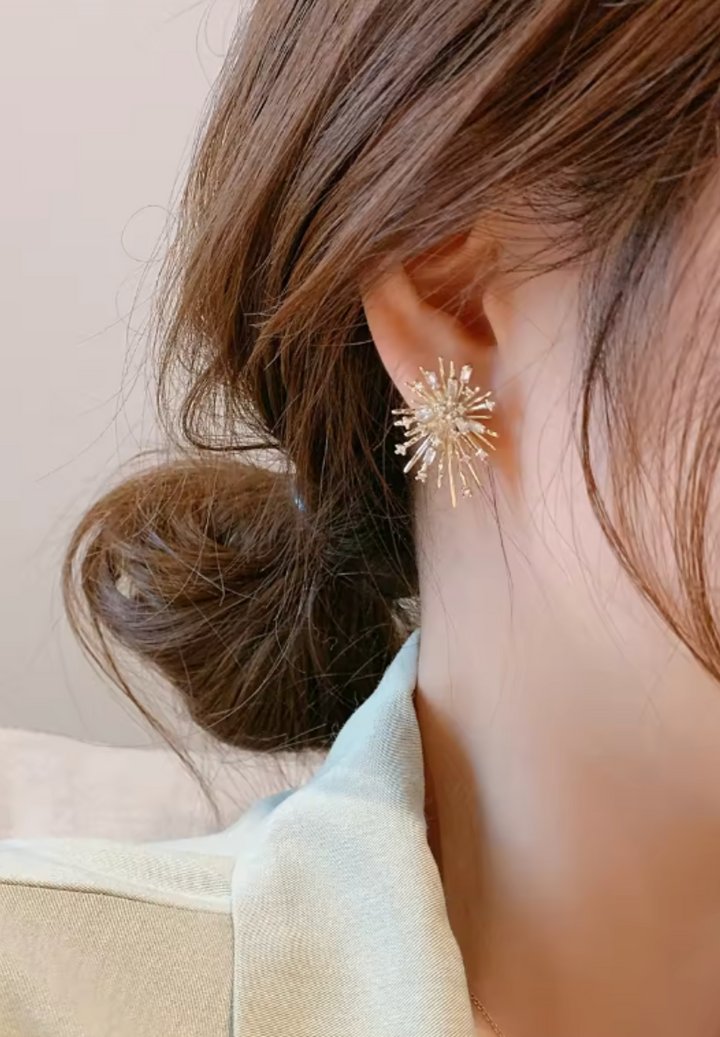 Small Crystal Earrings
