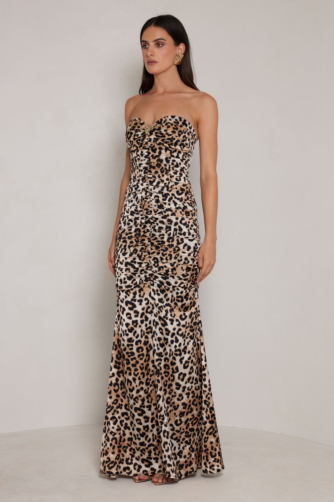 Dillion Leopard