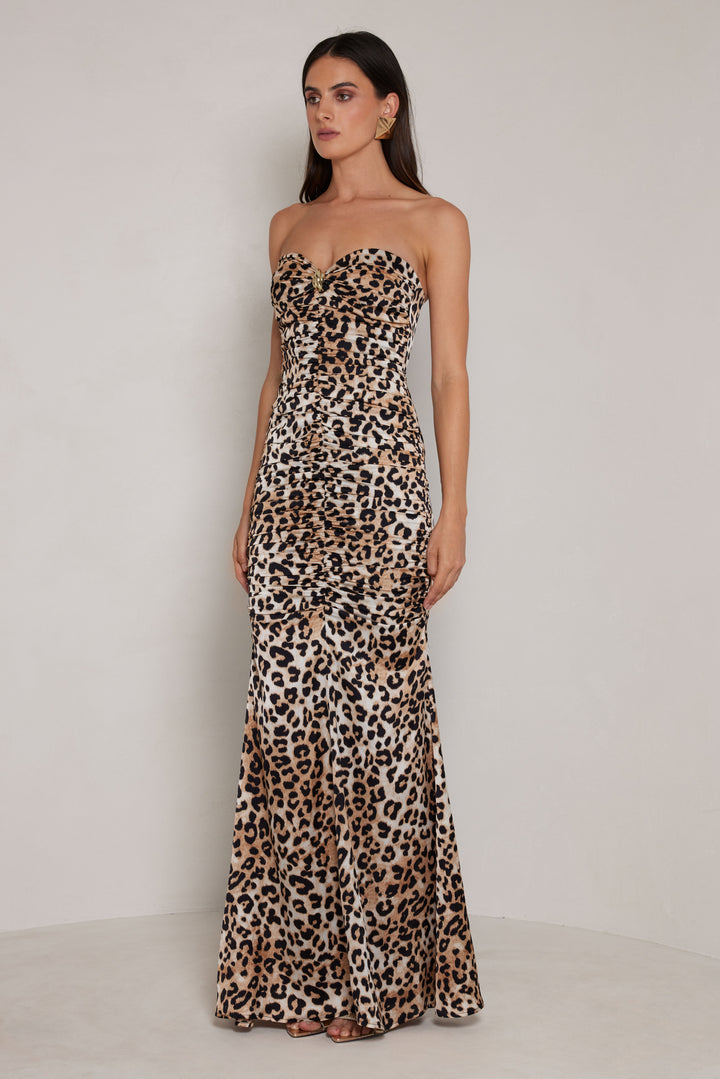 Dillion Leopard