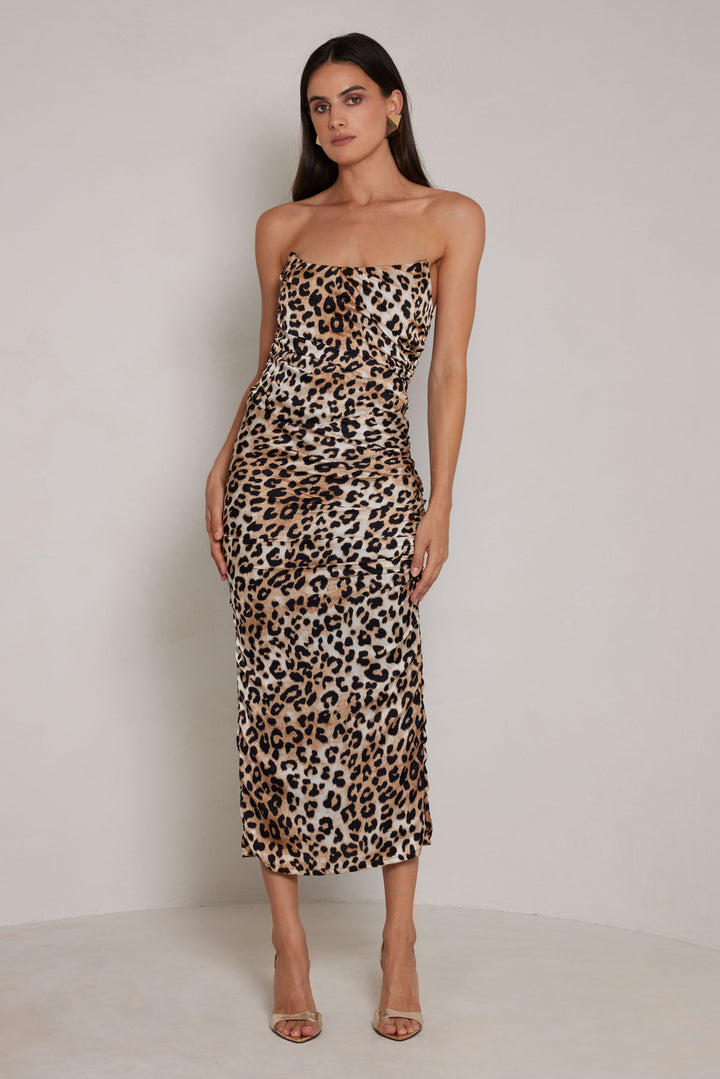 Rayleigh Leopard